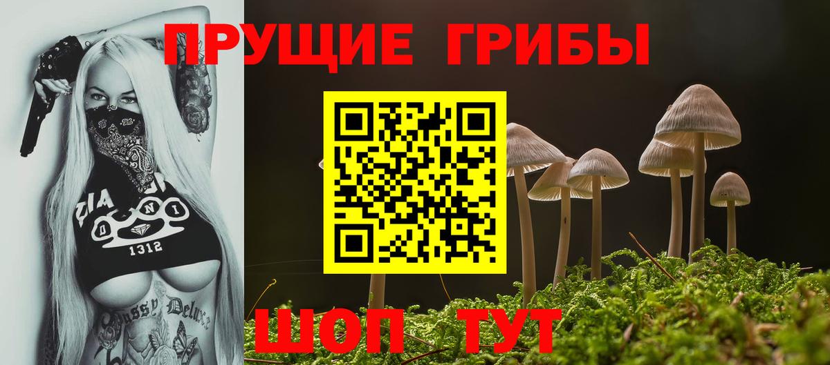 Псилоцибиновые грибы Magic Shrooms  Галлюциногенные грибы Psilocybe  Вход с VPN  Чебаркуль 